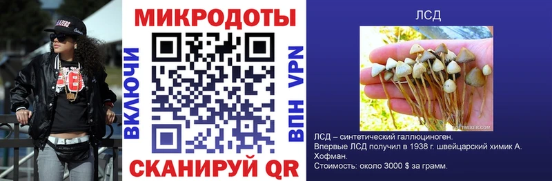 что такое наркотик  Янаул  Галлюциногенные грибы Cubensis 
